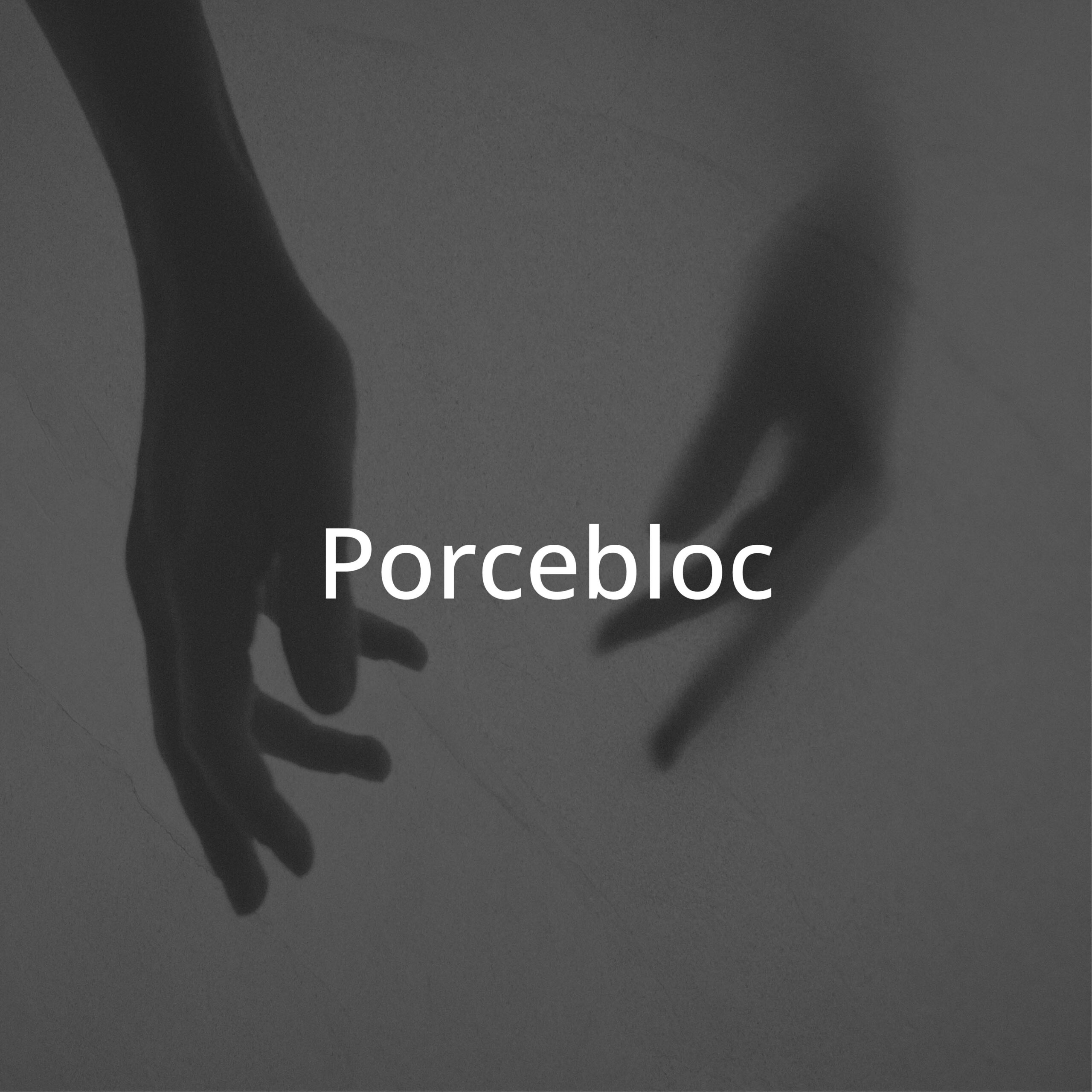 Catálogo Porcebloc